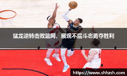 JN江南·(中国区)体育官方网站-JN SPORTS