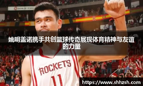 江南JNSport体育